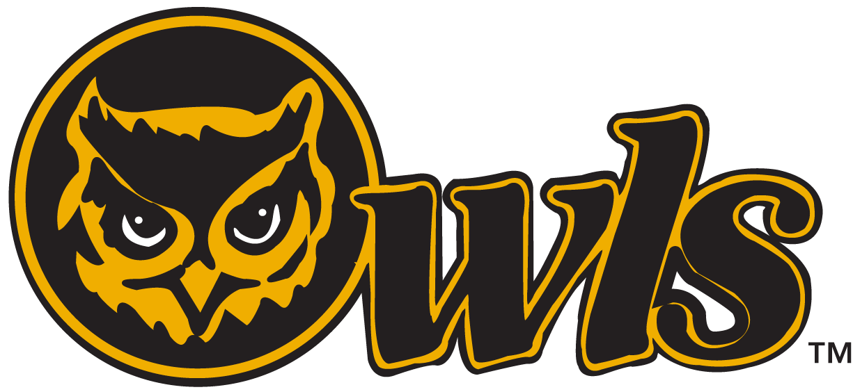 Kennesaw State Owls 0-2011 Secondary Logo v2 iron on transfers for T-shirts